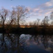 autumn walk canal